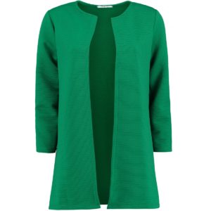 hailys_damen_langblazer_bz_sandy-green_ df-9001_01