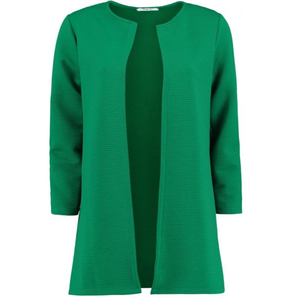 hailys_damen_langblazer_bz_sandy-green_ df-9001_01